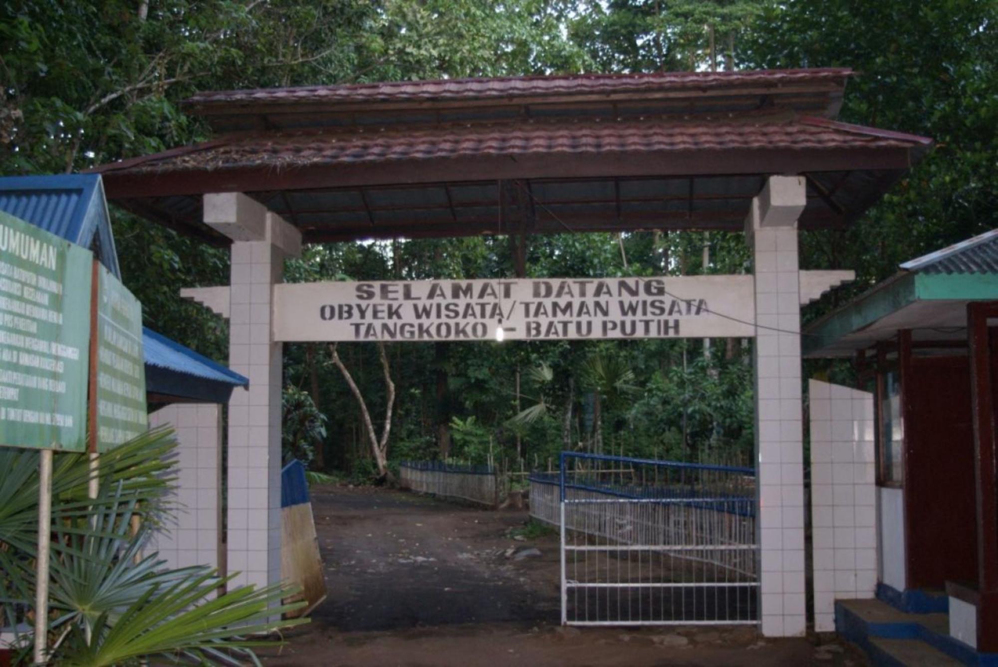 מלון Rinondoran Tangkoko Macaca מראה חיצוני תמונה